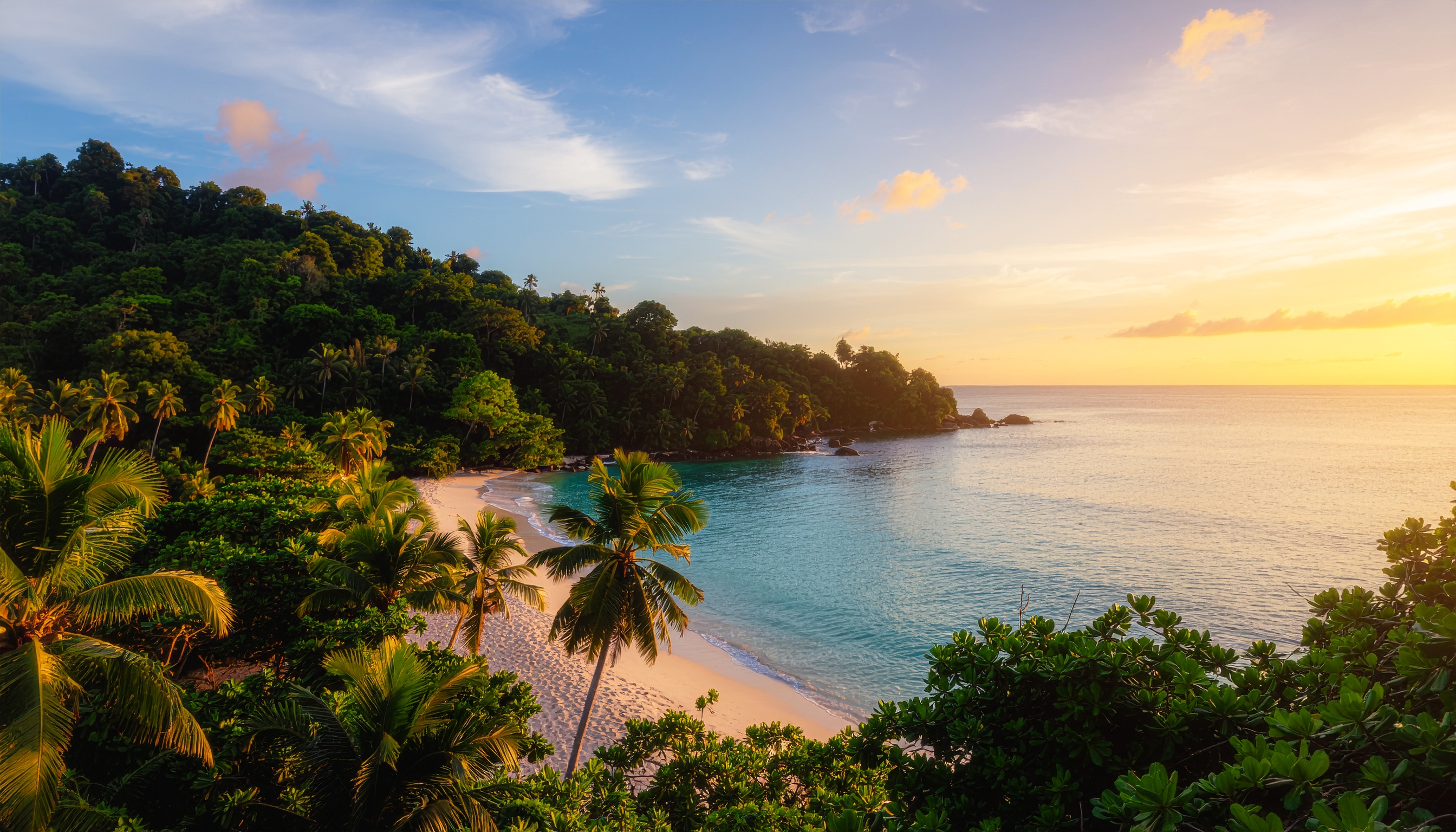 Chapters of Self-Help